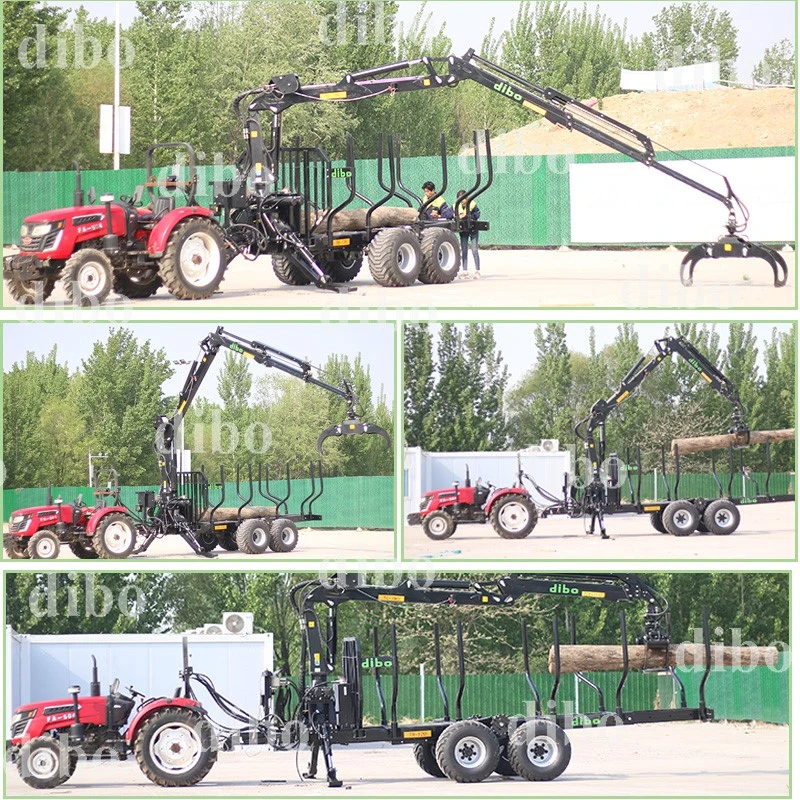 product-800-800